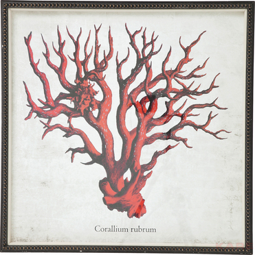 Picture Frame Coral Red 96x96cm