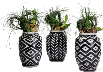 Deco Vase Black Line 30cm Assorted