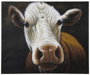 Oil Painting Cow 100x120