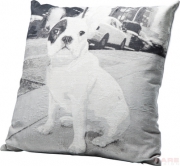 Cushion  Sparky 45x45cm