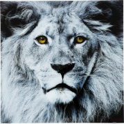 Picture Glass Face Lion 80x80cm