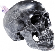 Money Box Skull Silver Antique