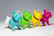 Money Box King Dog Medium  Assorted