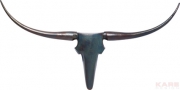 Deco Antler Texas Dark 100cm