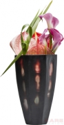 Vase Elements  26cm Assorted