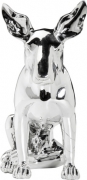 Money Box Pitbull