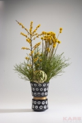 Vase Caesar Dots