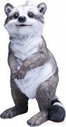 Money Box Racoon