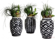Deco Vase Black Line 30cm Assorted