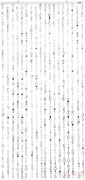 Door Curtain Hollow