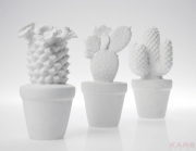 Deco Cactus White Assorted