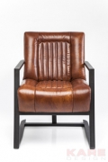 Arm Chair Denver
