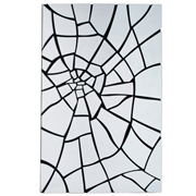 Mirror Spidernet 147x91cm